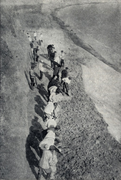 Рис. 6. Раскопки гиппарионовой фауны у Павлодара (1929 г.)