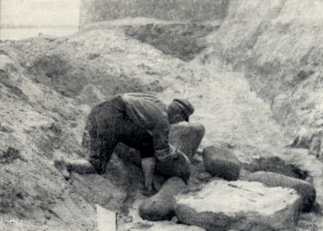 Рис. 7. Обмазка костей глиной, смешанной с соломой. Павлодар, 1929 г.
