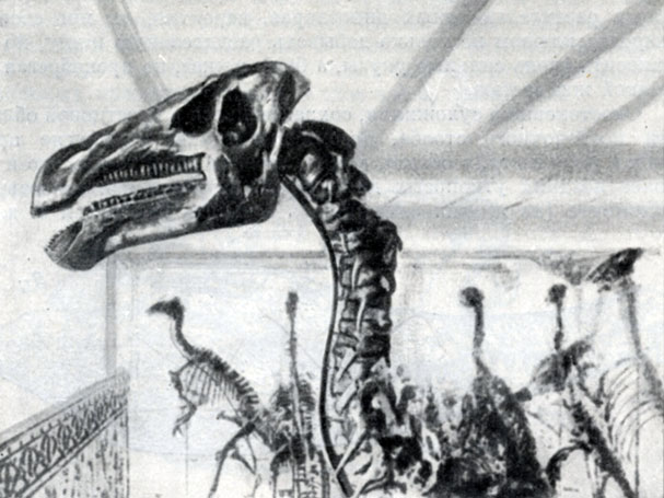 . 30.  (Iguanodon bernissartensis Boulenger)   10 .   . , , - 