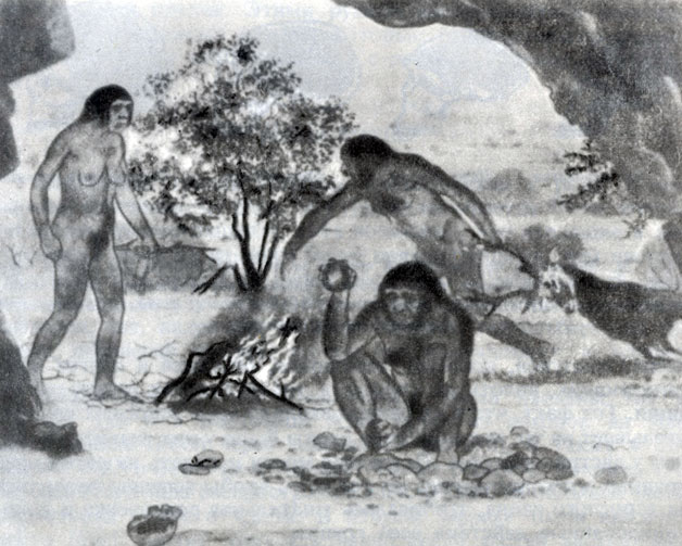  66.     Homo erectus,  , , 500 000  .      ,     .   ,   ,     