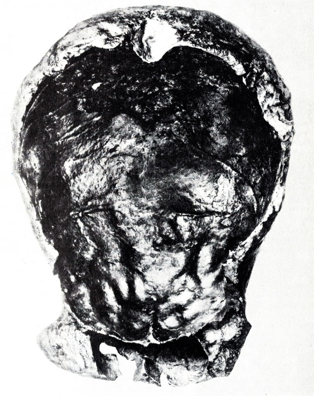 Внутренняя поверхность черепной крышки человека прямоходящего - важнейшей находки Дюбуа