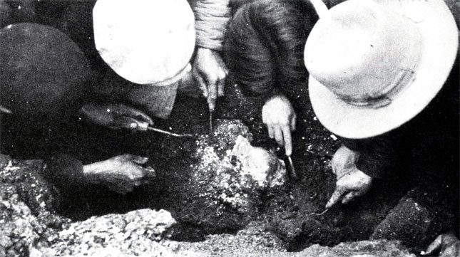 Четверо ученых в 1936 году готовятся извлечь из породы уже почти высвобожденный череп пекинского человека - азиатского человека прямоходящего