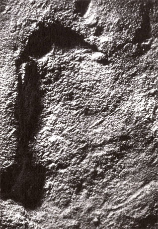 След человека, оставленный 400 тысяч лет назад, - древнейший из всех известных