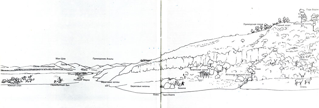 Панорама, нарисованная художником, работавшим с Люмле, показывает, как могли выглядеть Терра-Амата и ее окрестности 400 тысяч лет назад. Бухта, открытая на север, к Приморским Альпам, отвечала всем нуждам древних охотников: укромный пляж с источником пресной воды, обилие дичи и богатая растительность
