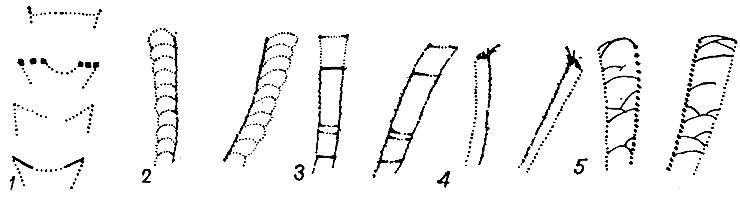 . 70.        (, 1960): 1 -  ; 2-5 -    , : 2 -   , 3 -  , 4 -  , 5 -   