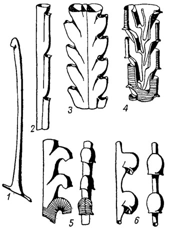 . 310.  : 1 - Rastrites; 2 - Leptograptus; 3 - Glyptograptus; 4 - Clirnacograptus; 5-6 - Monograptus