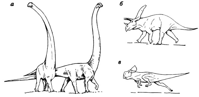 . 37.  .  . .  - Barosaurus;  - Torosaurus;  - Protoceratops