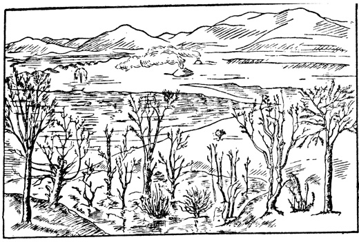 Рис. 22. Ландшафт девонской эпохи - флора псилофитов (около 300 миллионов лет назад)