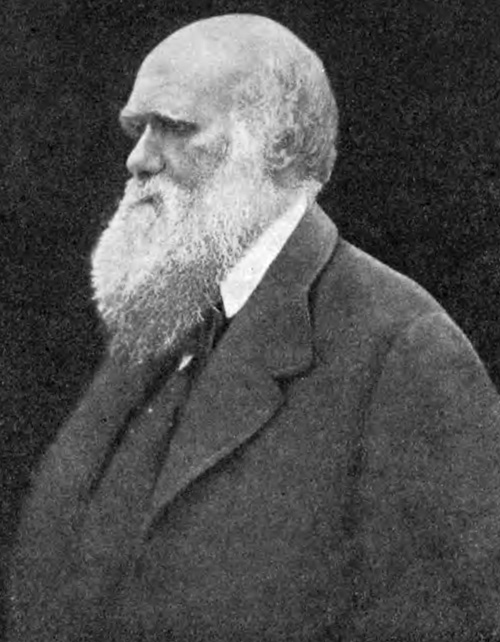 Ч. Дарвин (1809-1882)