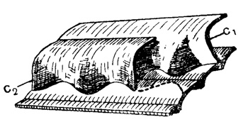 Рис. 205. Схема складчатых перегородок Fusulinidae: с1 - септа, с2 - последующая септа - частично удалена, а след ее соприкосновения со стенкой предыдущего оборота показан пунктиром (Sigal, 1952)