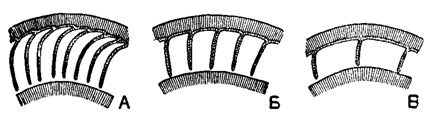 Рис. 734. Различные типы строения камер у нуммулитов: А - оперкулиноидный тип; Б - ассилиноидный; В - нуммулитоидный (Немков, 1955)