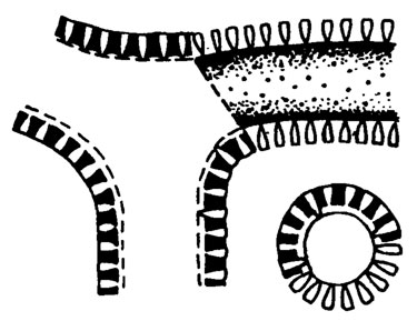 Рис. III. 14. Строение водорослей Vermiporella в интерпретации Дж. Пиа /Pia, 1920/