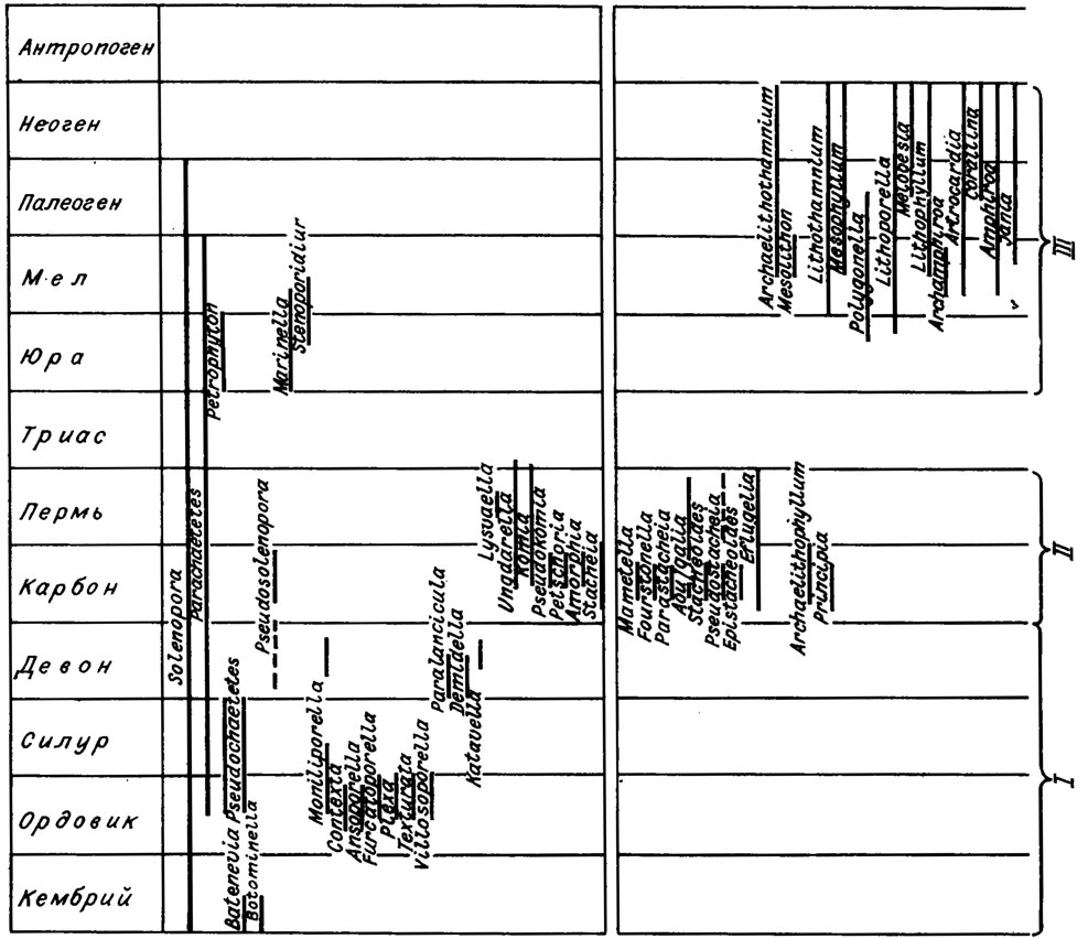 Рис. IV. 22. Стратиграфическое распространение палеозойских и важнейших родов мезо-кайнозойских (см. также рис. 17) красных водорослей