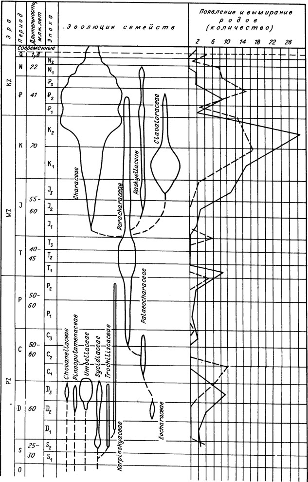 Рис. V. 7. Эволюция харофитов в фанерозое (составил И. М. Шайкин). Сплошной линией обозначено появление родов, штриховой - вымирание